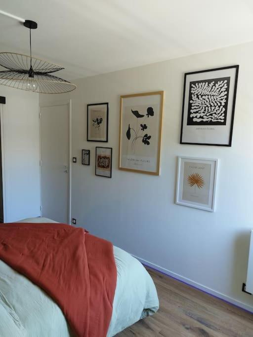 Appartement Au Coeur De بيمبول المظهر الخارجي الصورة